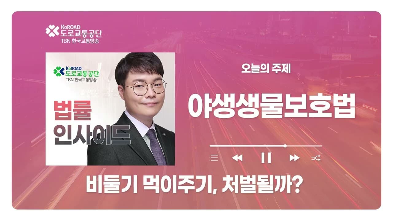[대전형사전문변호사] TBN충북교통방송 ‘법률인사이드’ - 비둘기 먹이 주기 처벌될까? 야생생물보호법·과태료·아파트 분쟁 총정리 ｜ 260409 방송