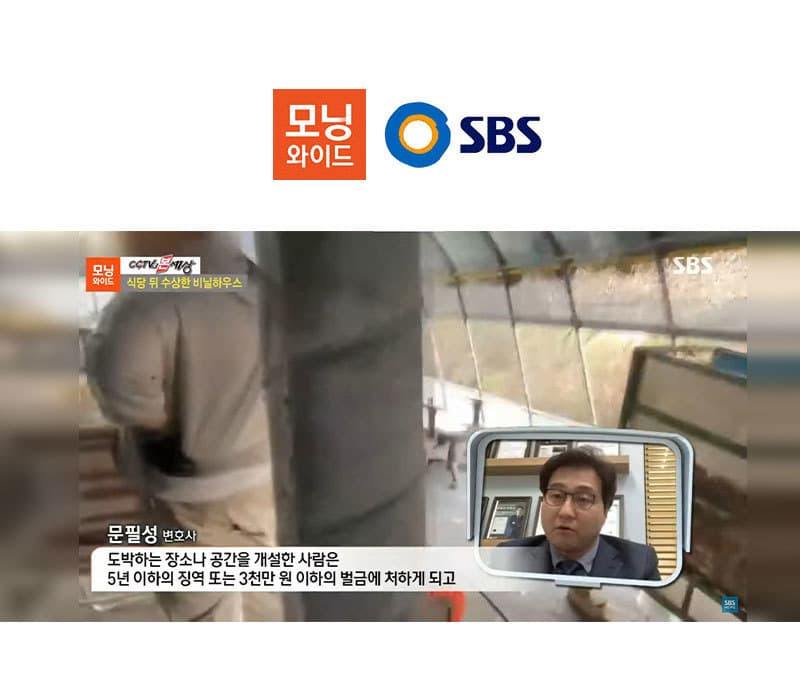 문필성변호사, SBS 모닝와이드 동물보호법 위반, 도박죄 관련 인터뷰